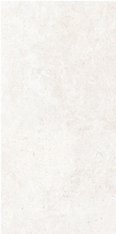 OL Limestone Bianco Matte 12 x 24